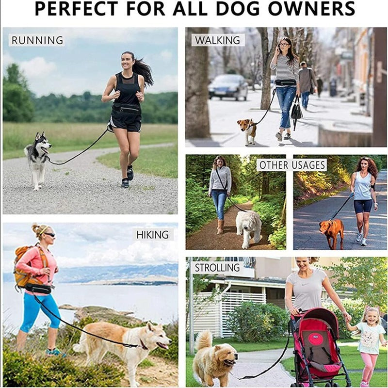 Ultimate Hands-Free Dog Leash with Bungee & Built-In Storage! - Paws and Claws warehouse