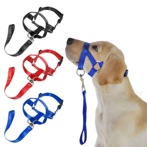 No-Pull Dog Leash for Effortless Walks & Control! - Paws and Claws warehouse