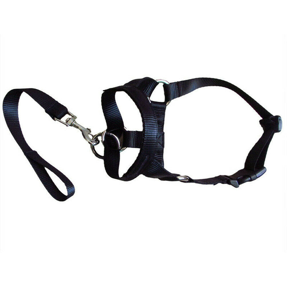 No-Pull Dog Leash for Effortless Walks & Control! - Paws and Claws warehouse