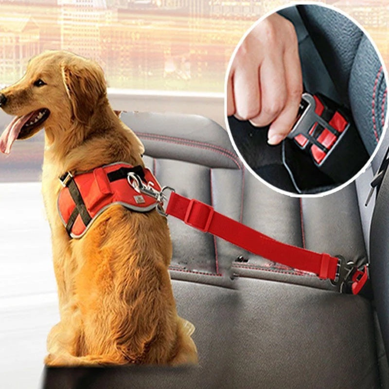 Adjustable Pet Car Seat Belt for Ultimate Safety & Comfort! - Paws and Claws warehouse