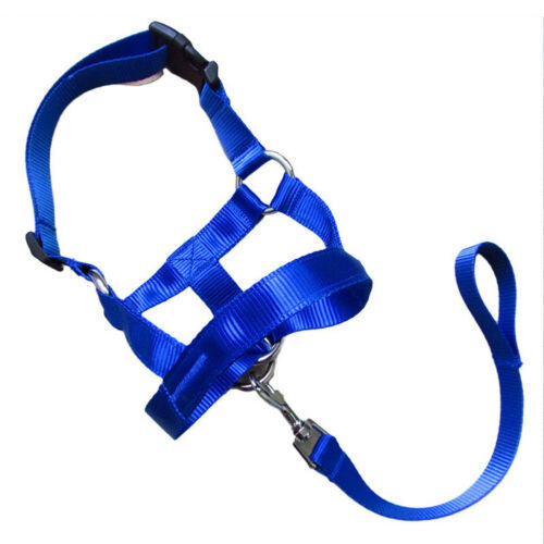 No-Pull Dog Leash for Effortless Walks & Control! - Paws and Claws warehouse