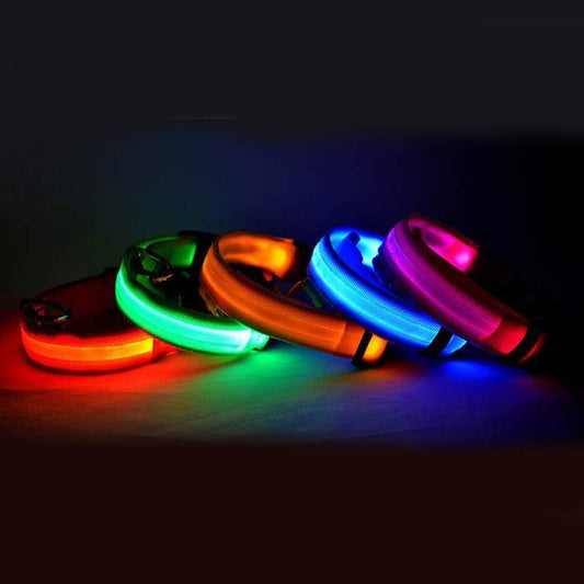 Bright LED Luminous Safety Pet Collar for Ultimate Nighttime Adventures! - Paws and Claws warehouse