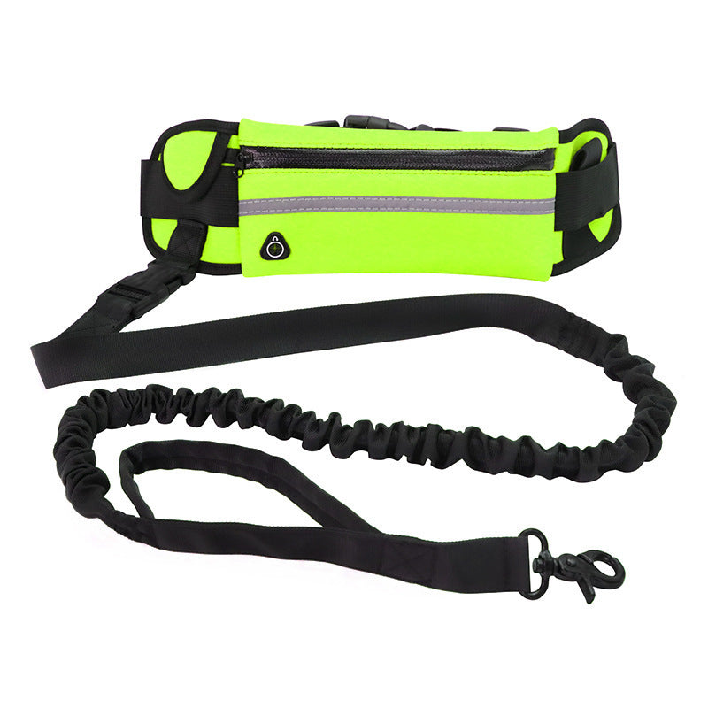 Ultimate Hands-Free Dog Leash with Bungee & Built-In Storage! - Paws and Claws warehouse