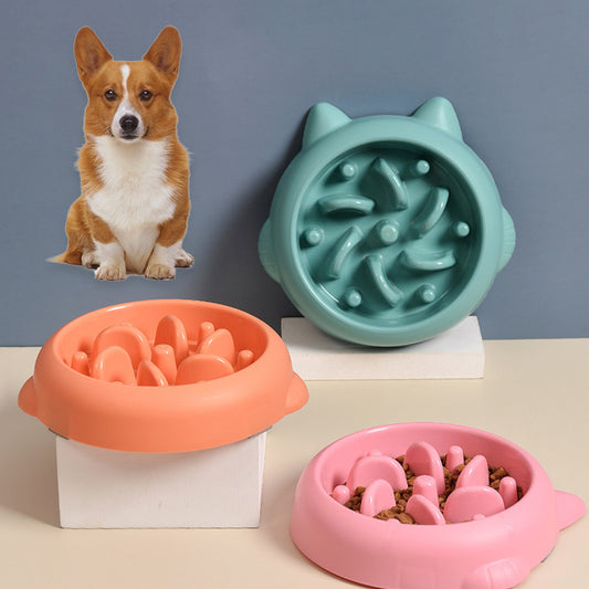 Anti-Choking Slow Feeder Bowl for Healthy Mealtime! - Paws and Claws warehouse