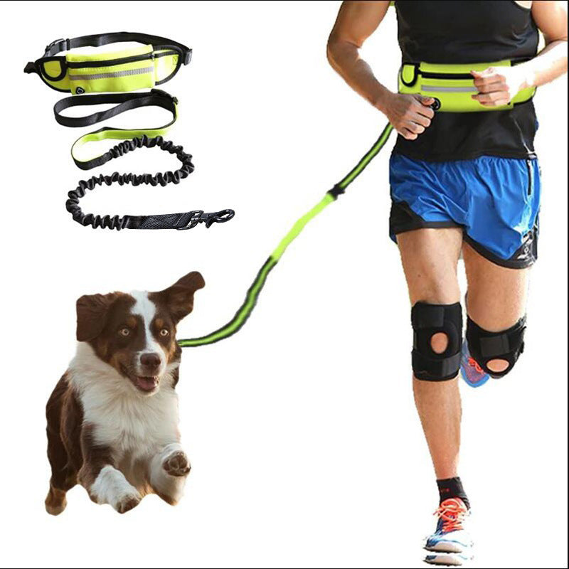 Ultimate Hands-Free Dog Leash with Bungee & Built-In Storage! - Paws and Claws warehouse