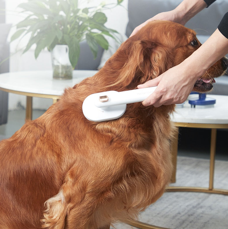 Effortless Grooming with the Ultimate Self-Cleaning Pet Hair Brush! - Paws and Claws warehouse