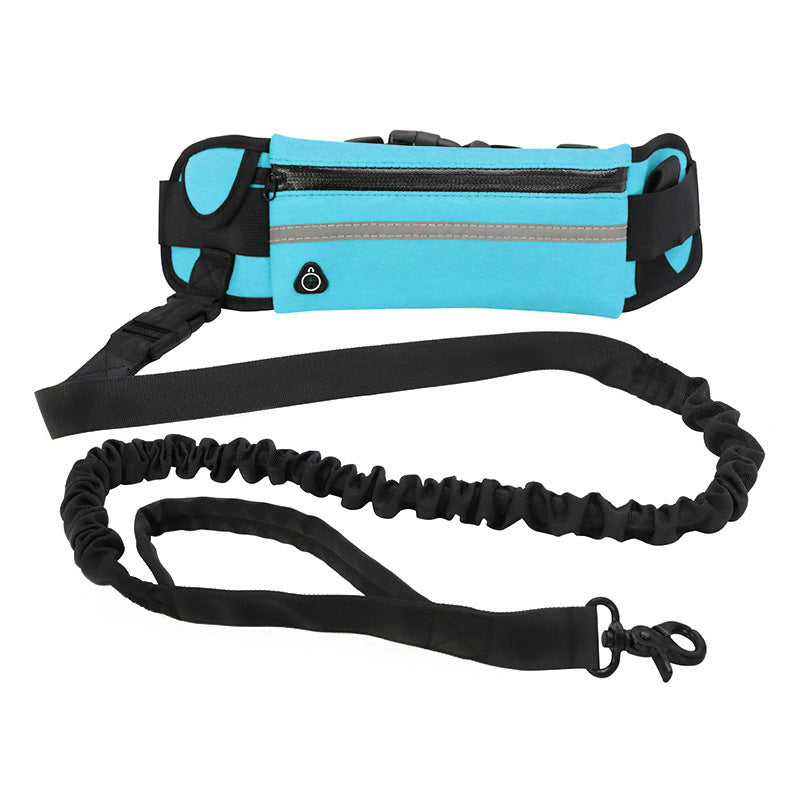 Ultimate Hands-Free Dog Leash with Bungee & Built-In Storage! - Paws and Claws warehouse