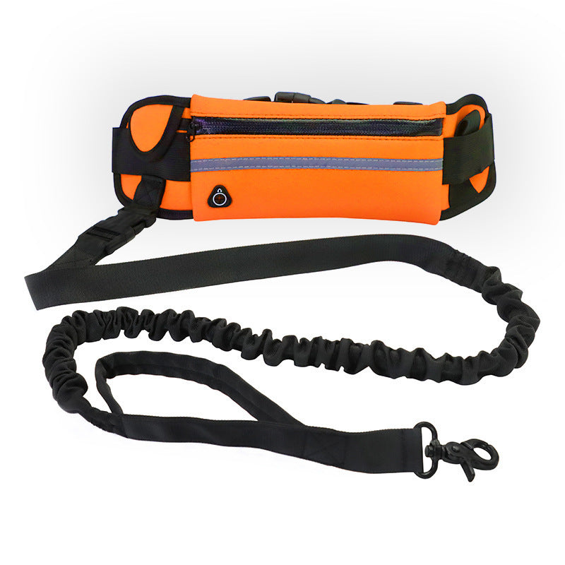 Ultimate Hands-Free Dog Leash with Bungee & Built-In Storage! - Paws and Claws warehouse