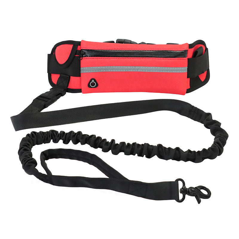 Ultimate Hands-Free Dog Leash with Bungee & Built-In Storage! - Paws and Claws warehouse